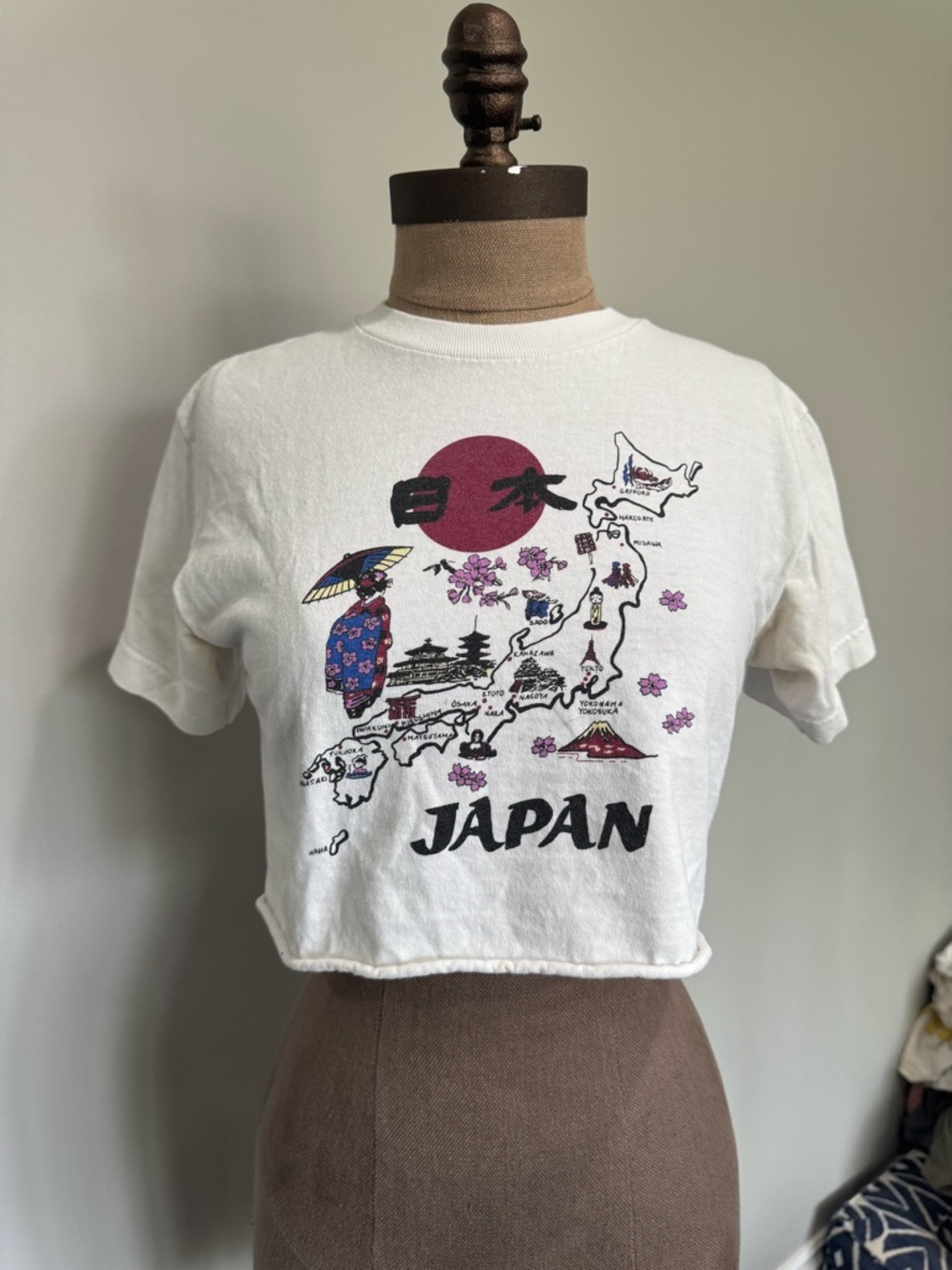 Brandy Melville White Japan Graphic Crop Top with Pink and Black Print